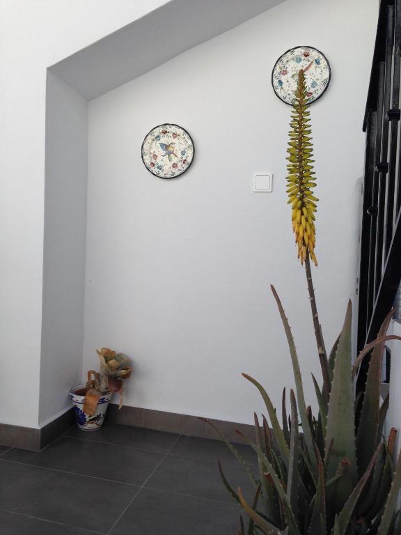 Pension La Herradura Ngoại thất bức ảnh